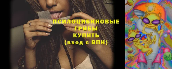 сатива Осташков