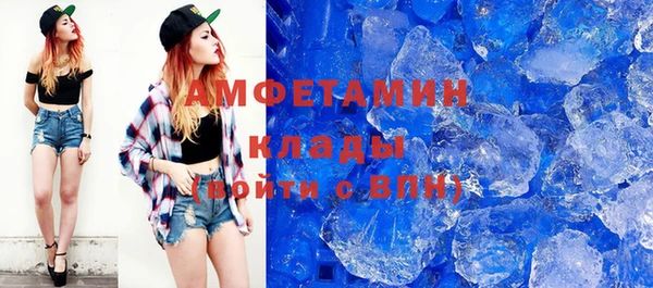 шишки Осинники