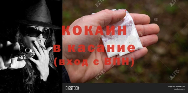 шишки Осинники