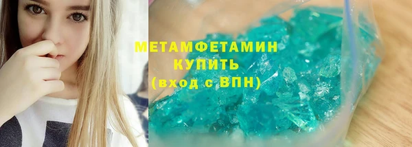шишки Осинники