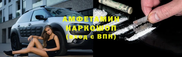 сатива Осташков