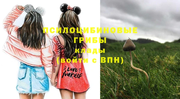 шишки Осинники