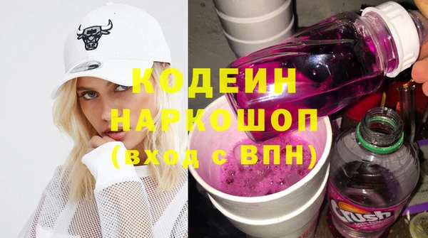 шишки Осинники