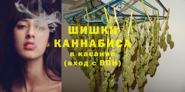 сатива Осташков