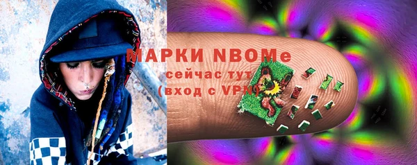 шишки Осинники
