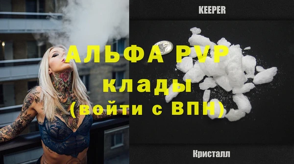 сатива Осташков