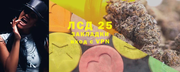 сатива Осташков