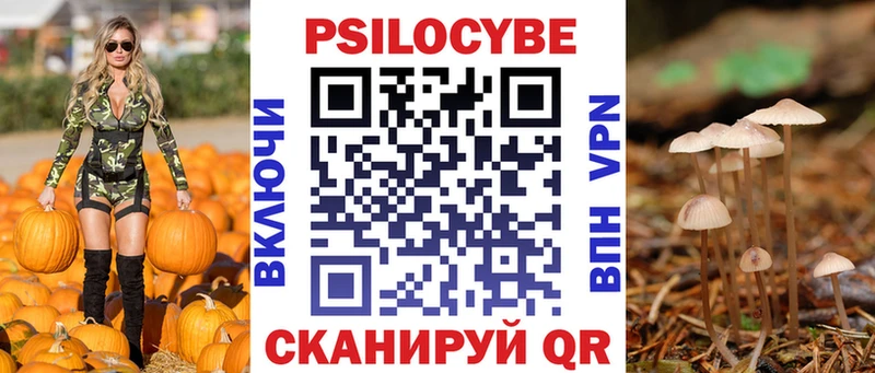 купить наркоту  Светлоград  Галлюциногенные грибы ЛСД 